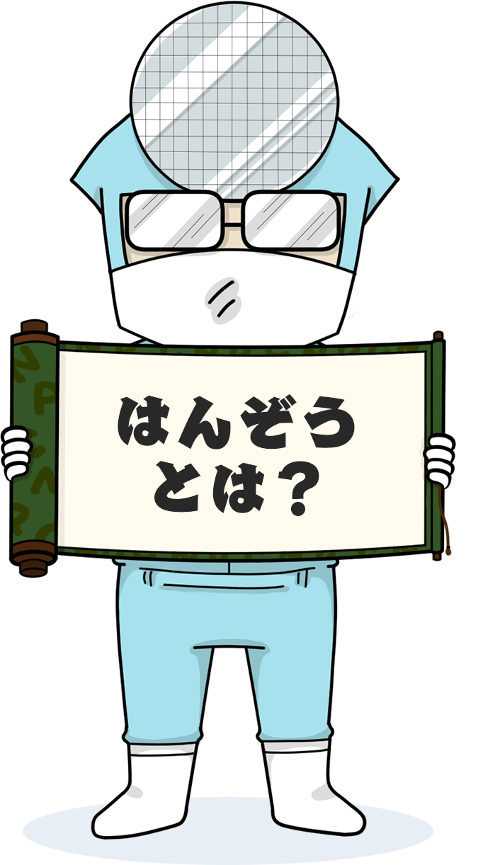 はんぞうとは？