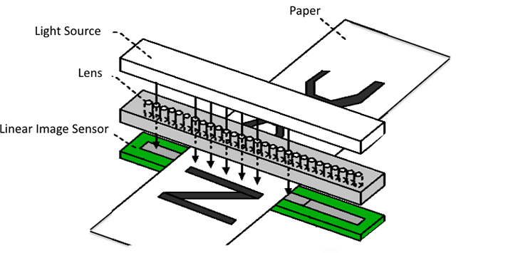 Capture the image by linear image sensor